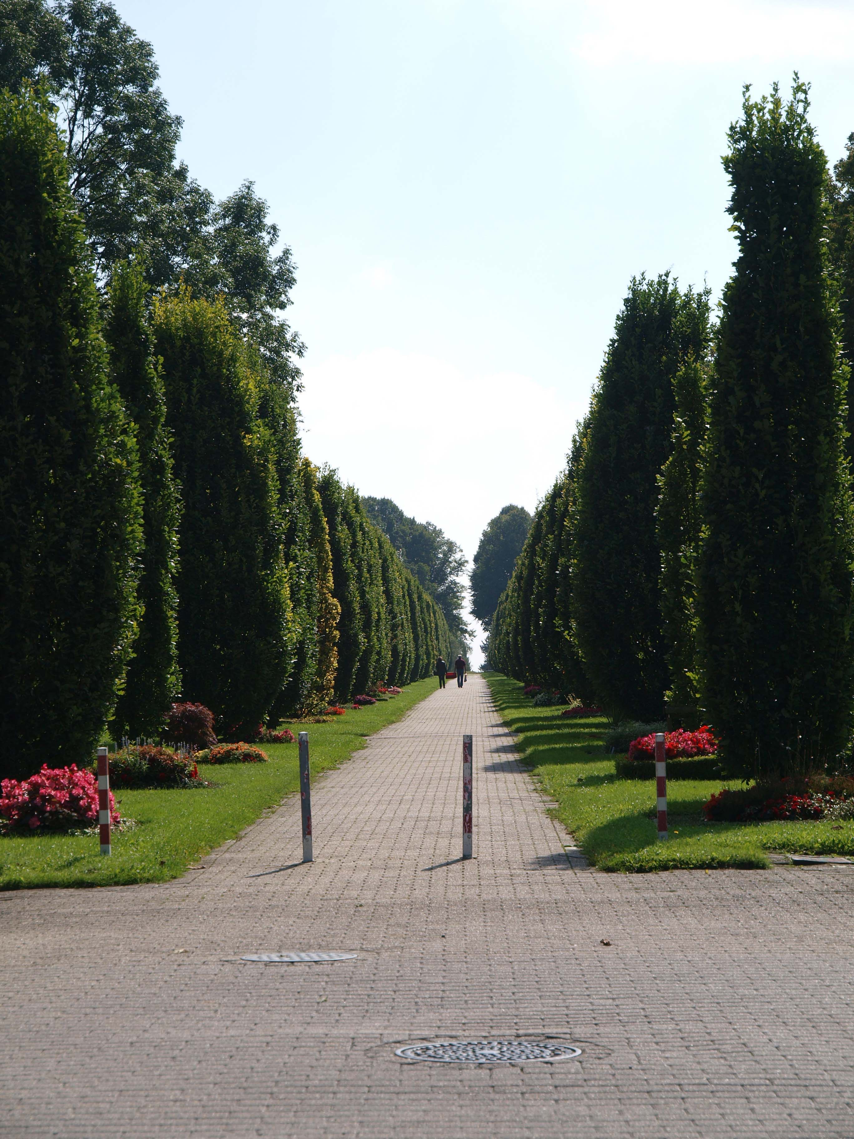 Hauptfriedhof Allee